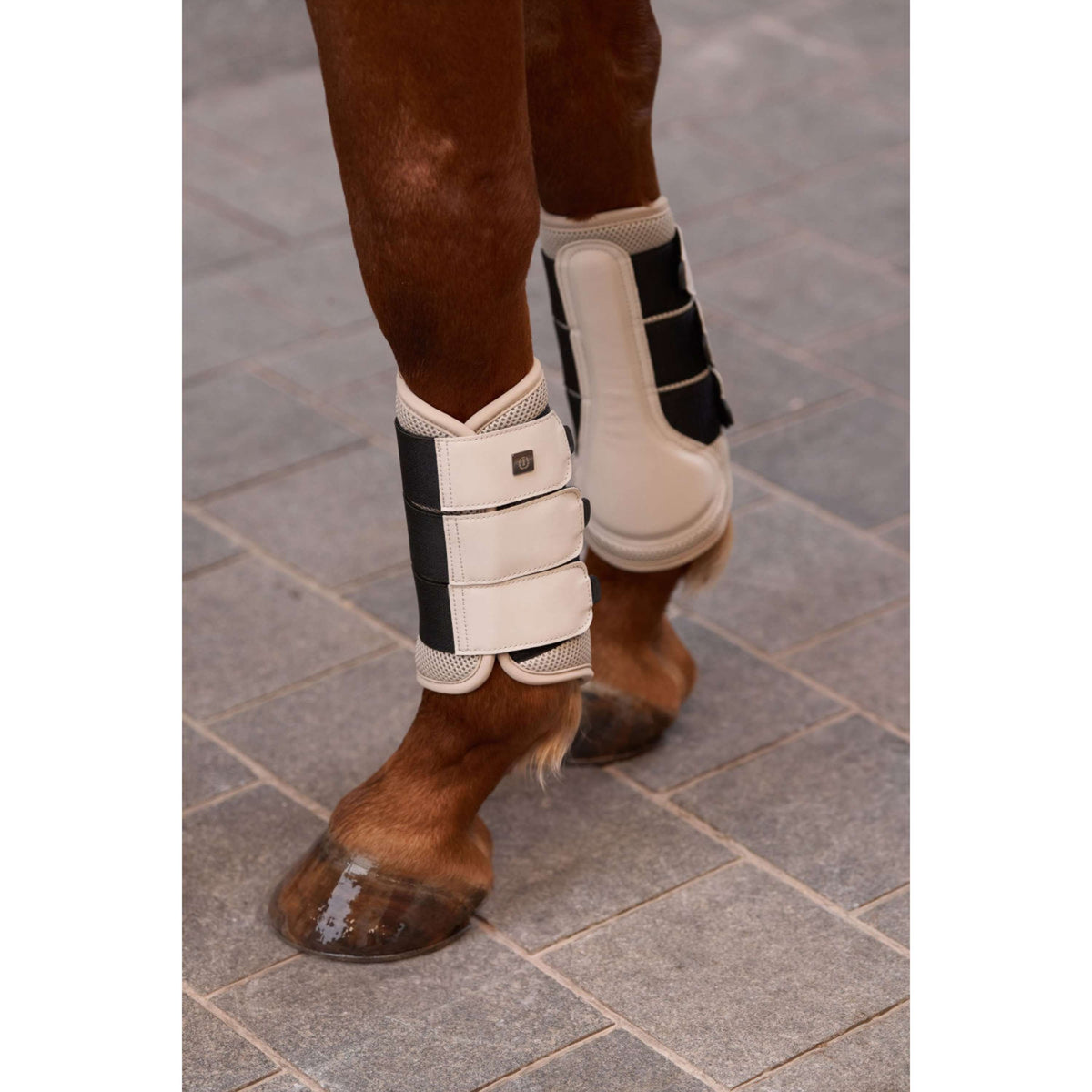 Imperial Riding Dressage Boots IRHCloud Dancer Taupe