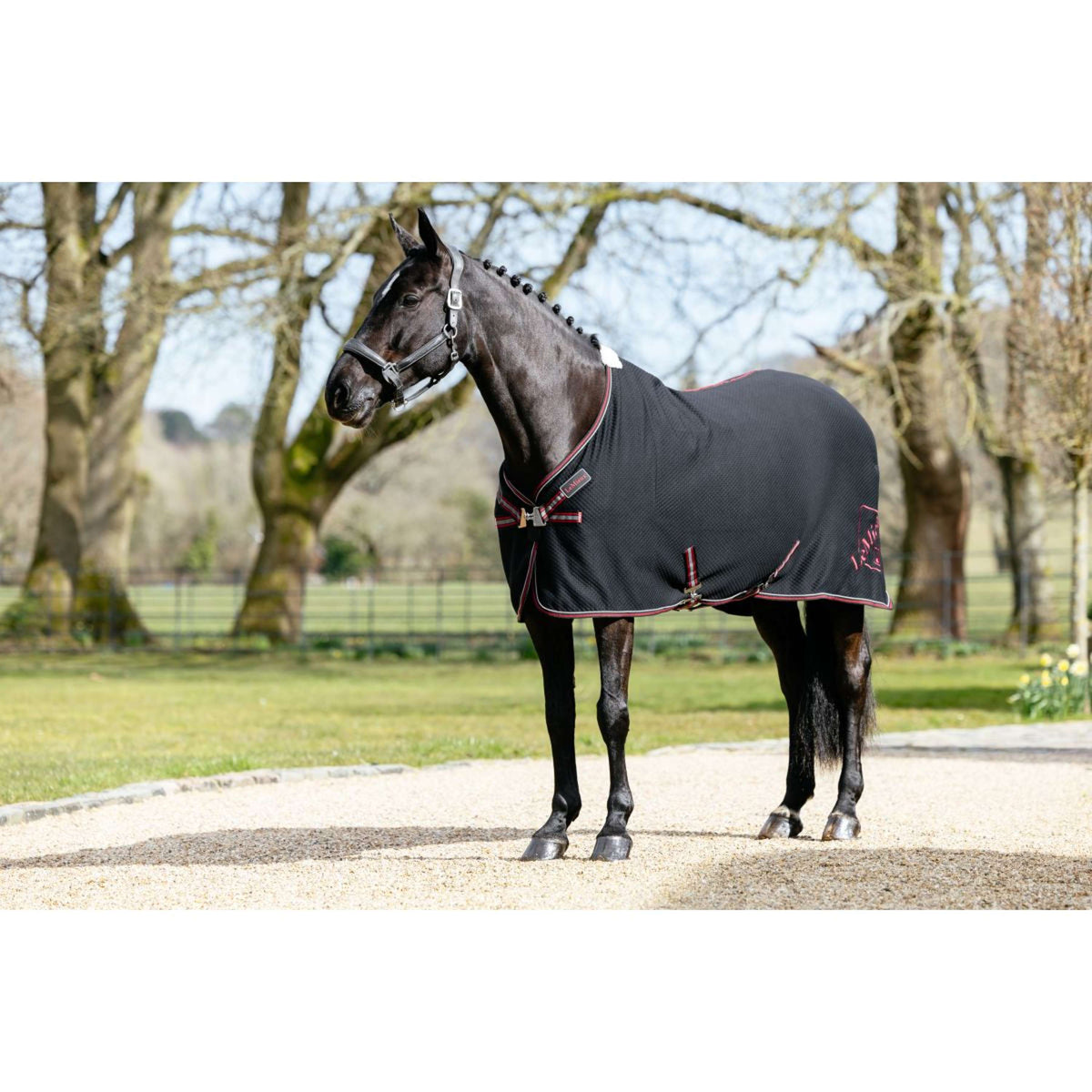 LeMieux Chemise Rafraîchissante Kudos Bamboo Noir