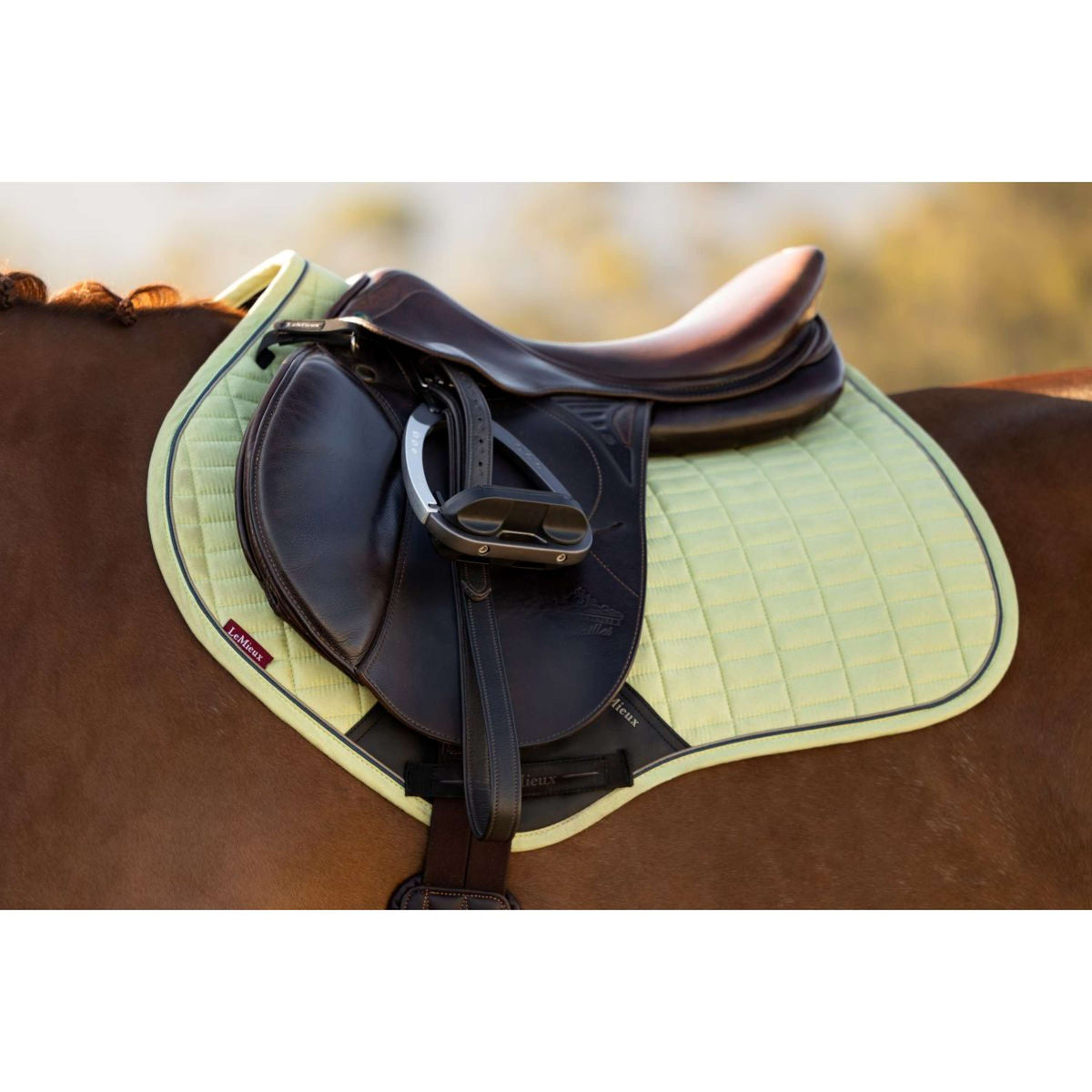 LeMieux Tapis de Selle Suede Close Contact Square de Saut Macaron