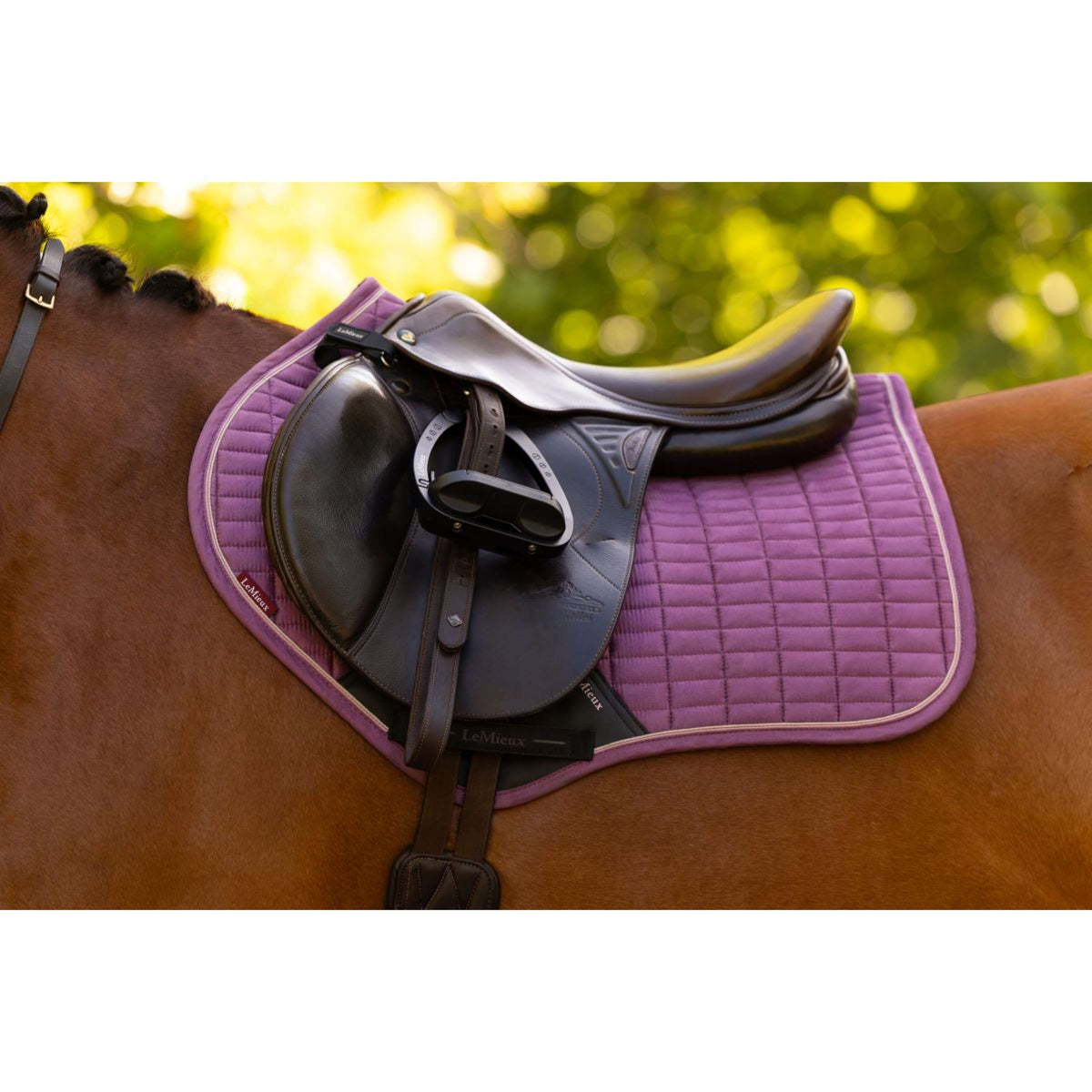 LeMieux Tapis de Selle Suede Close Contact Square de Saut Mallow