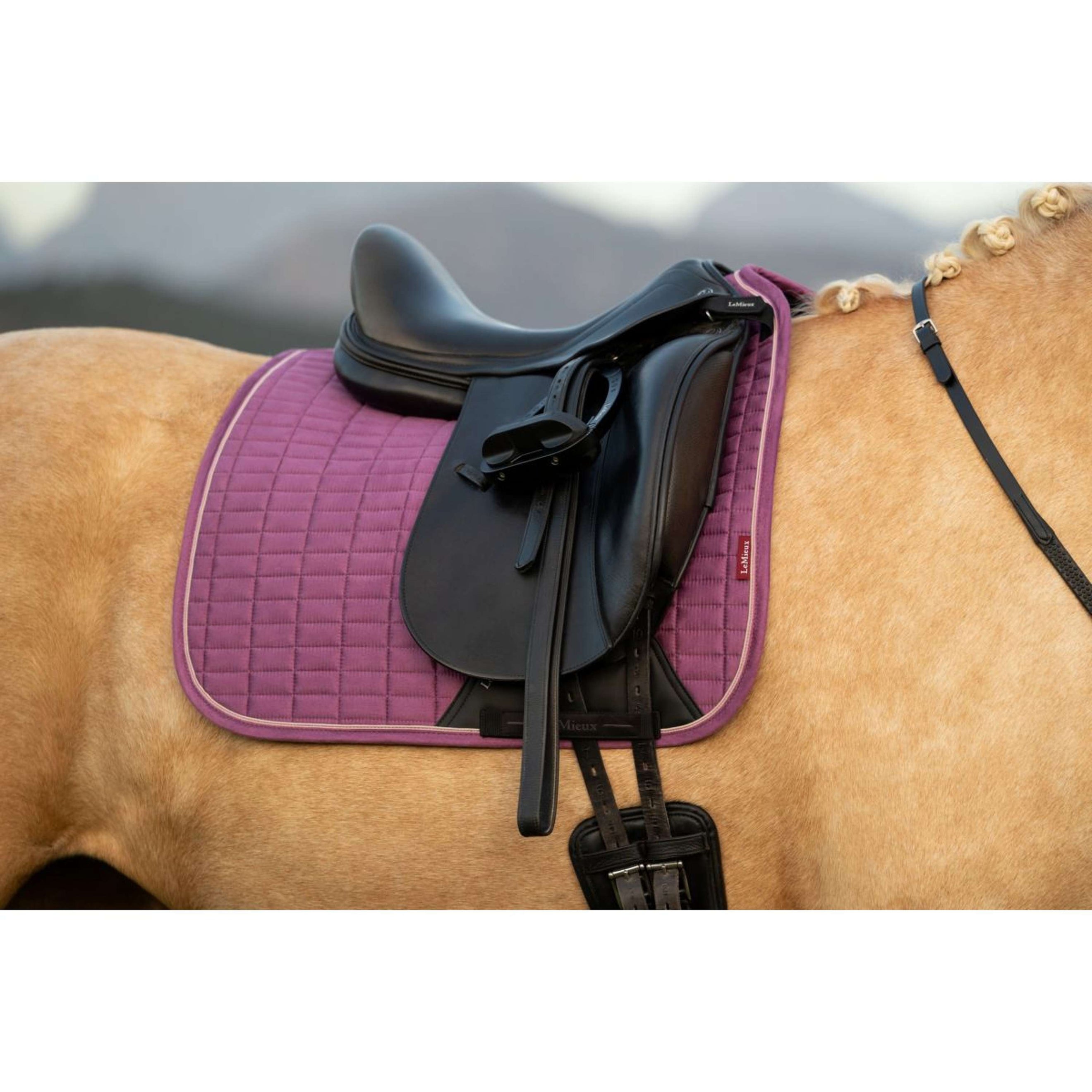 LeMieux Tapis de Selle Suede Square Dressage Mallow LeMieux Tapis de Selle Suede Square Dressage Mallow