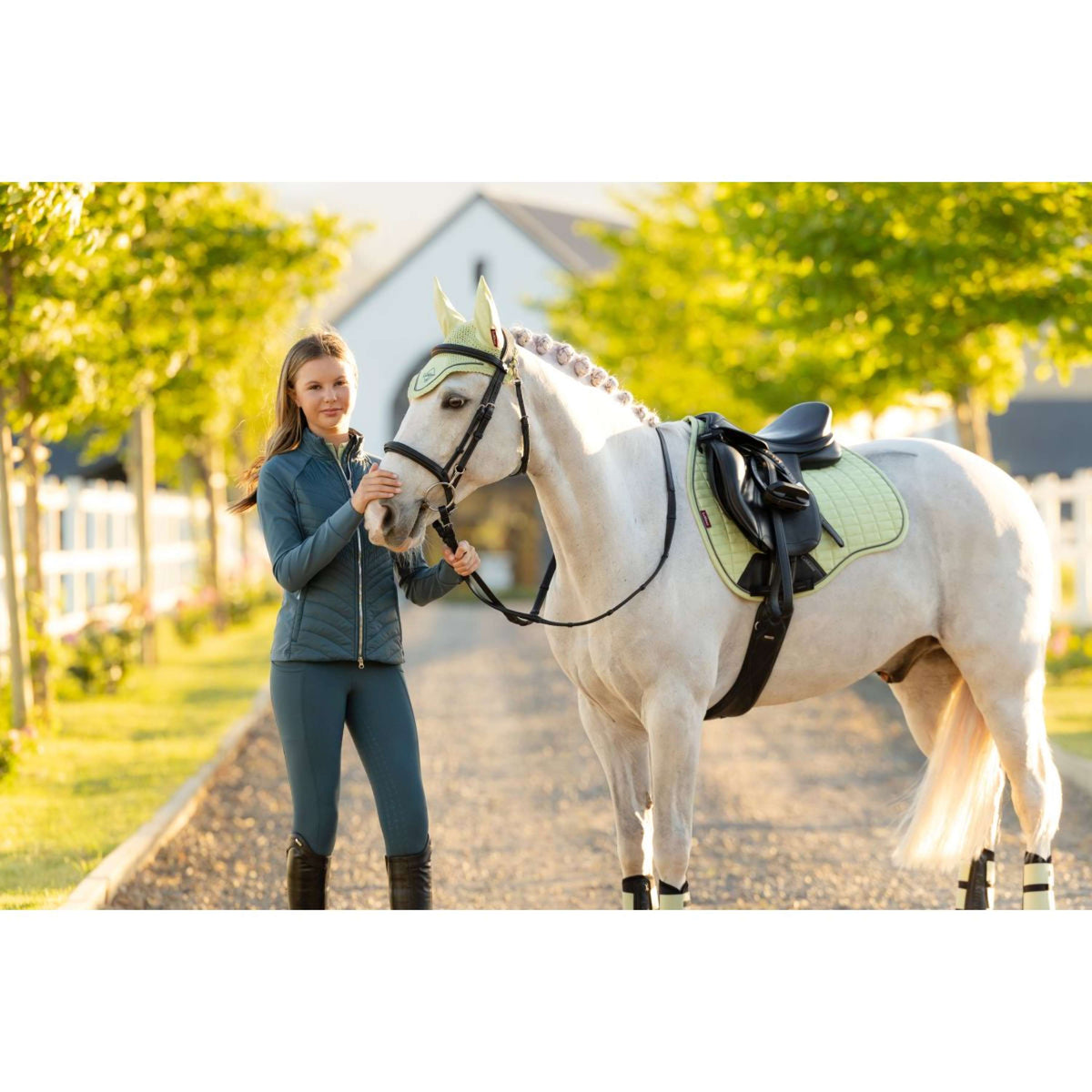 LeMieux Tapis de Selle Suede Square Polyvalent Macaron