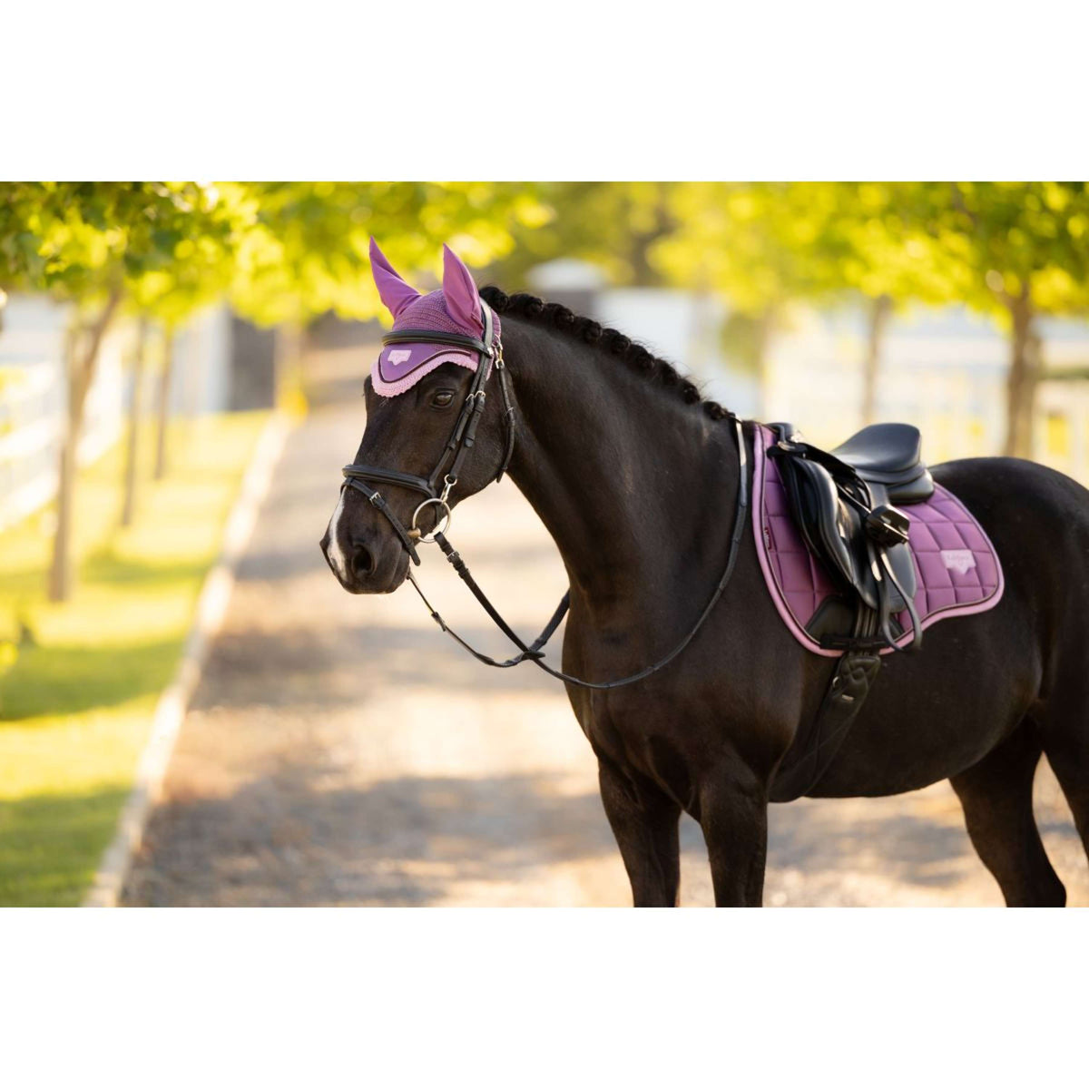 LeMieux Tapis de Selle Loire Classic Close Contact Square de Saut Mallow