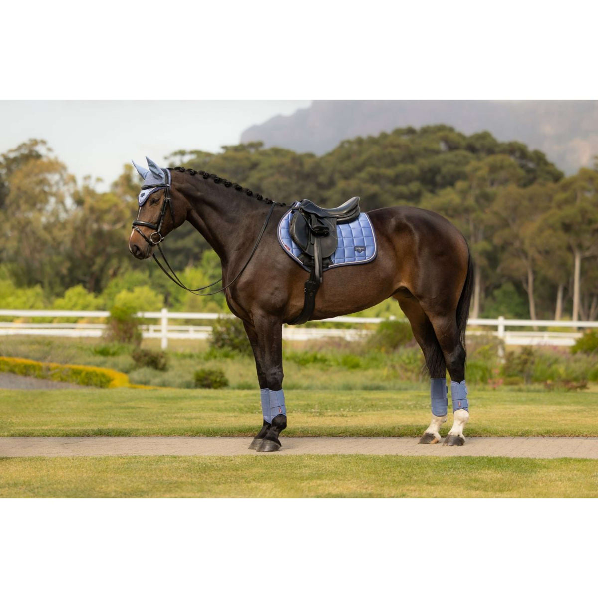 LeMieux Tapis de Selle Loire Classic Close Contact Square de Saut Powder Blue