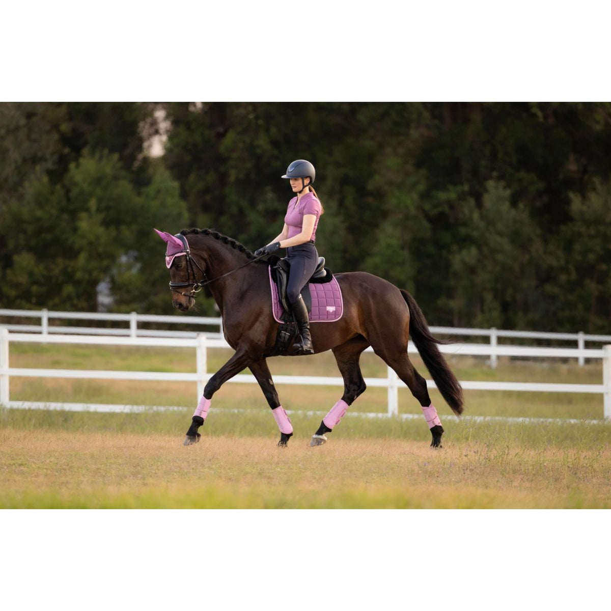 LeMieux Tapis de Selle Loire Classic Square Dressage Mallow