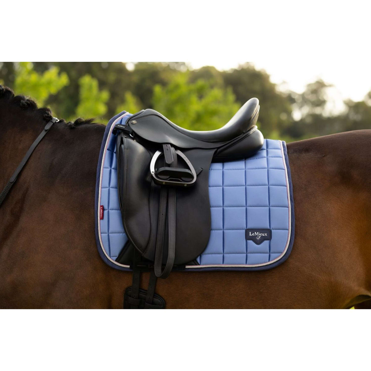 LeMieux Tapis de Selle Loire Classic Square Dressage Powder Blue