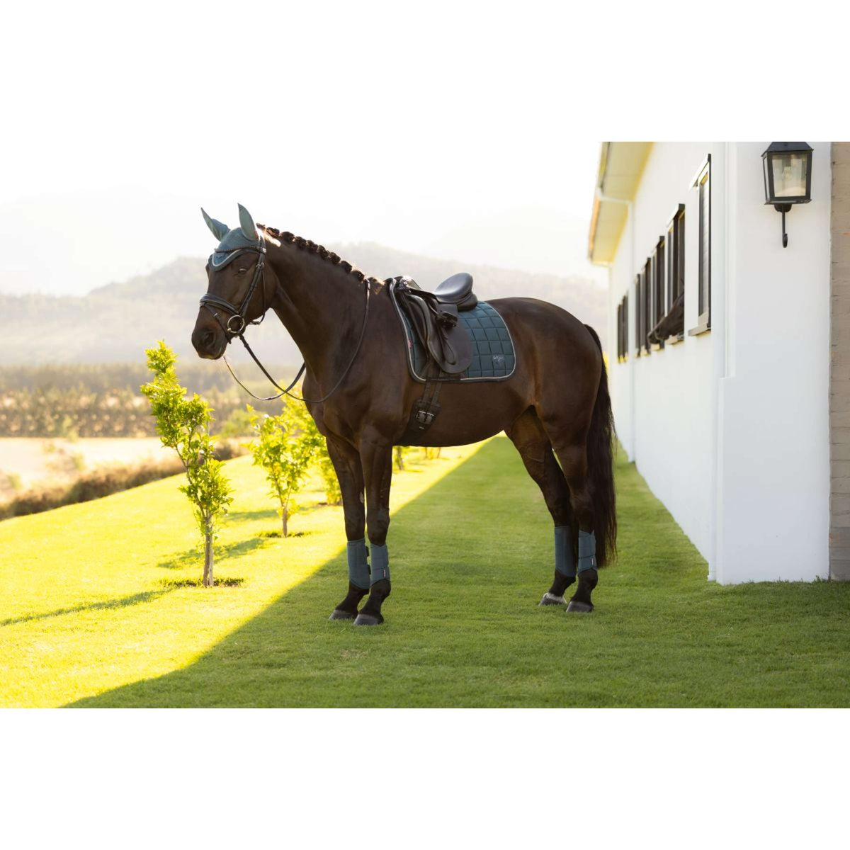 LeMieux Tapis de Selle Loire Classic Square Dressage Jungle
