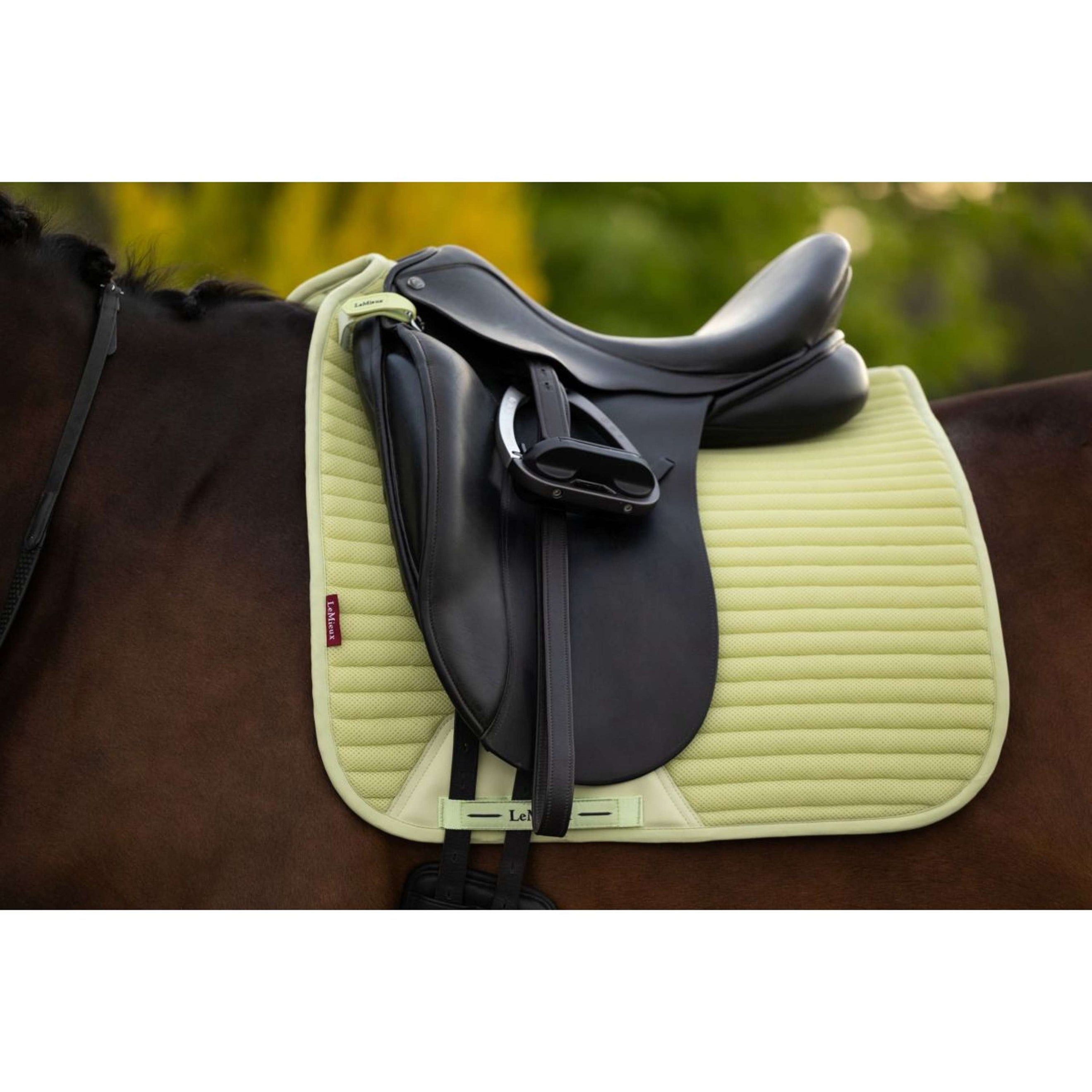 LeMieux Tapis de Selle Air-Tek Mesh Square Dressage Macaron LeMieux Tapis de Selle Air-Tek Mesh Square Dressage Macaron