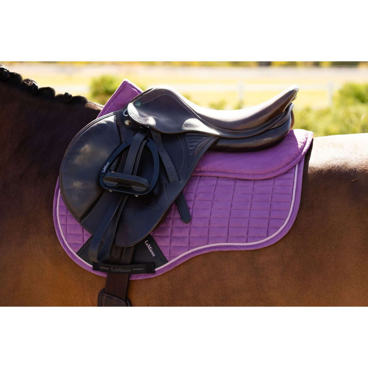 LeMieux Amortisseur Suede Mallow