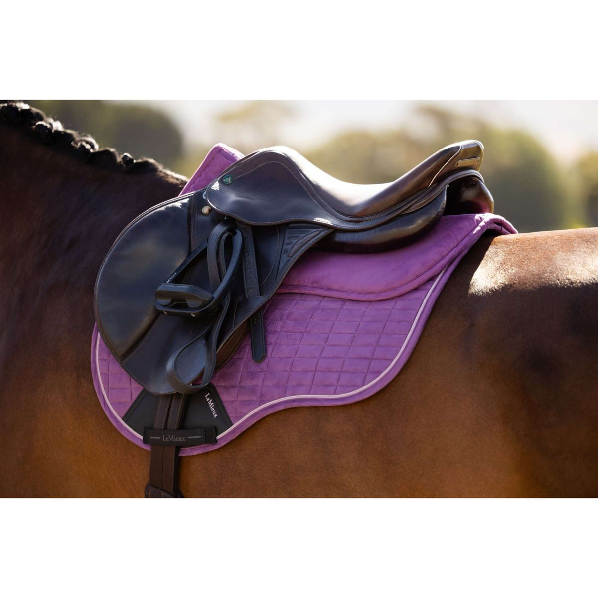 LeMieux Amortisseur Suede Mallow