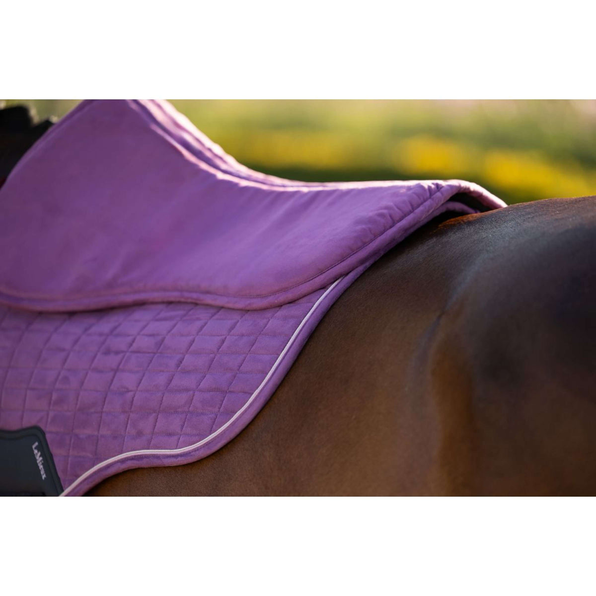 LeMieux Amortisseur Suede Mallow