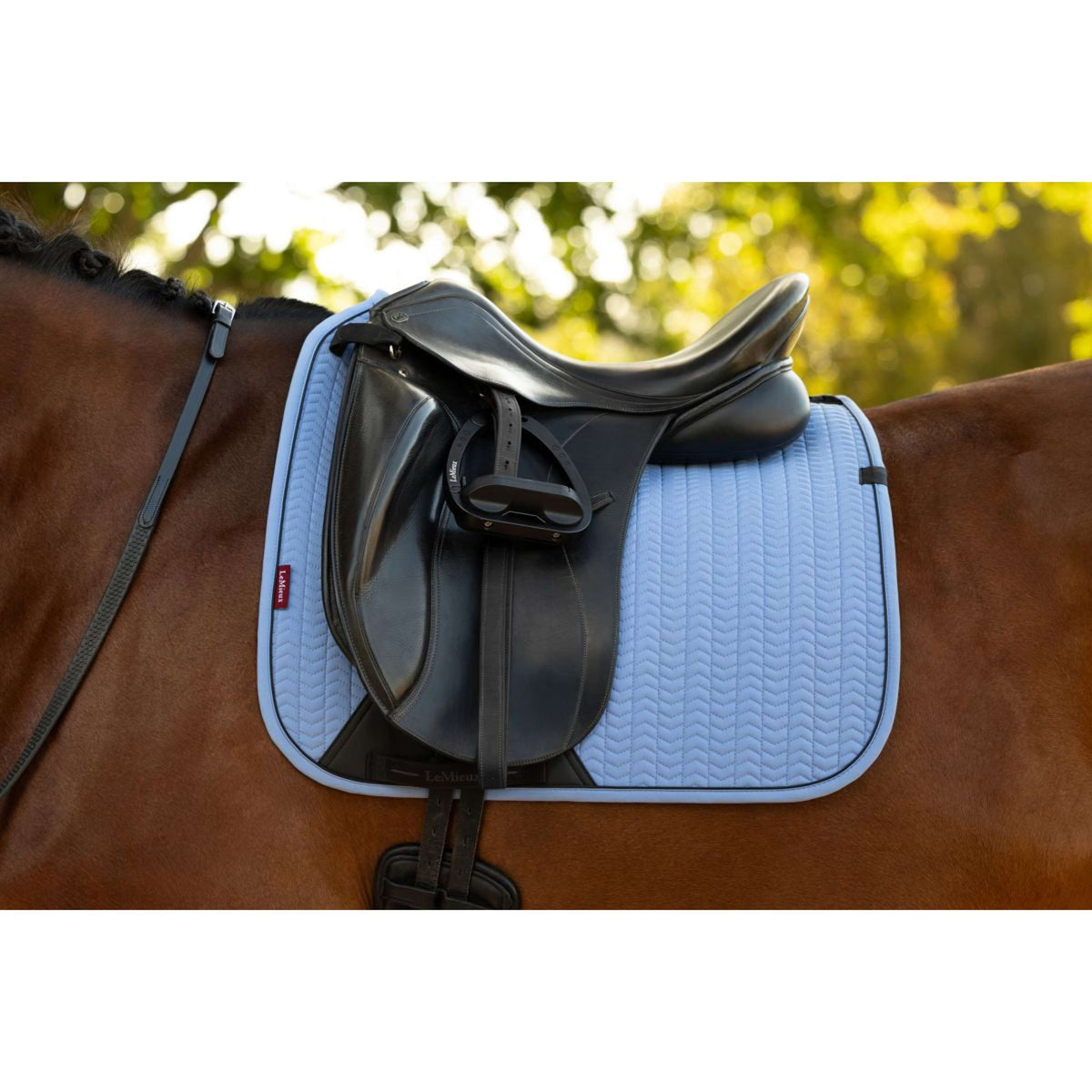 LeMieux Tapis de Selle Essence Square Dressage Powder Blue