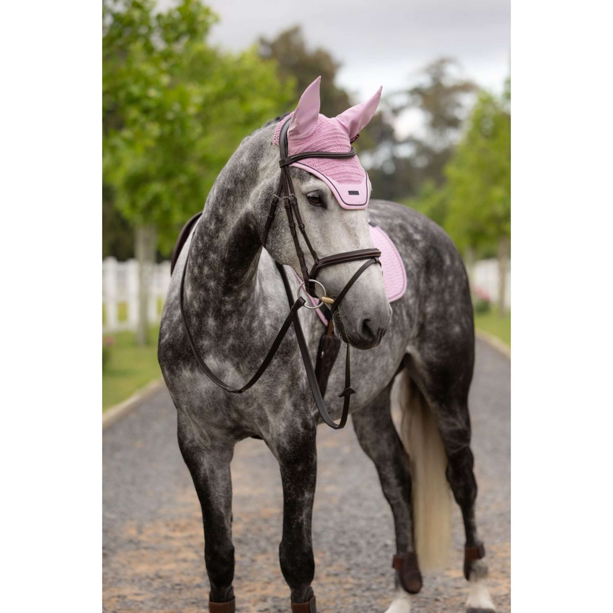 LeMieux Bonnet Anti-Mouches Essence Acoustic Fondant