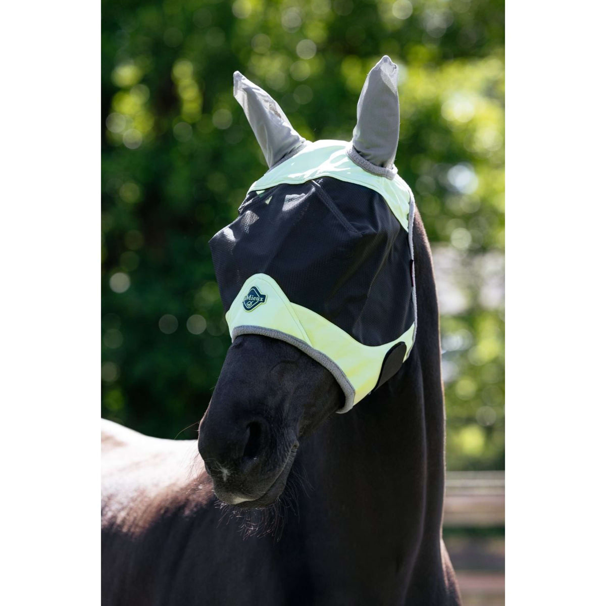 LeMieux Masque Anti-Mouches Visor-Tek Macaron