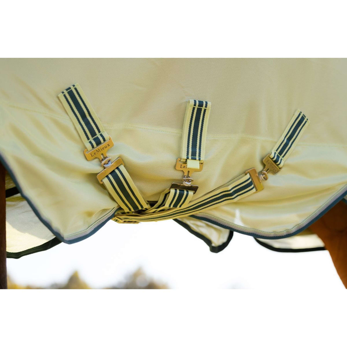 LeMieux Couverture Anti-Mouches Arika Armour-Tek Couvre-cou Amovible Macaron