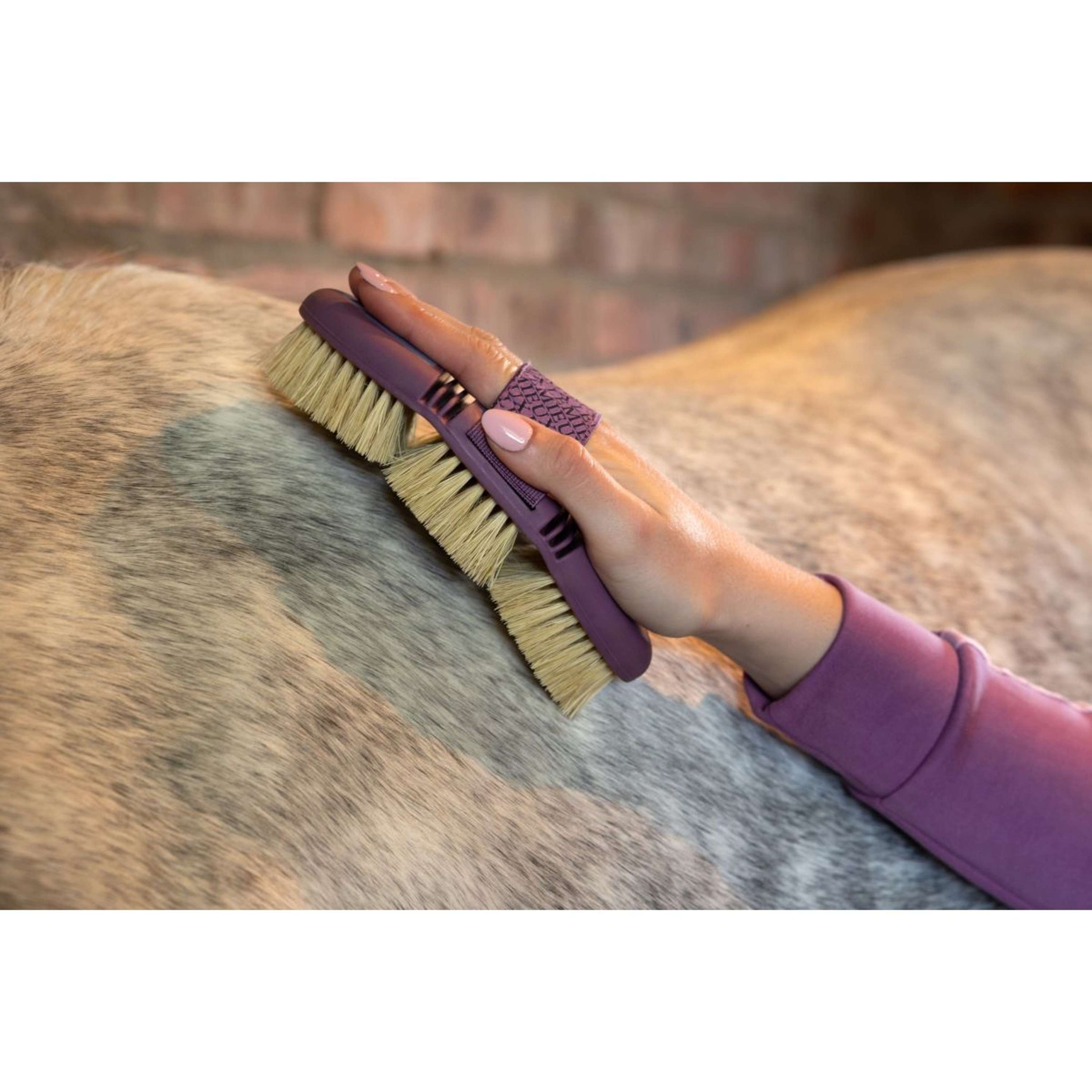 LeMieux Brosse de Toilettage Flexi Scrubbing Powder Blue LeMieux Brosse de Toilettage Flexi Scrubbing Powder Blue