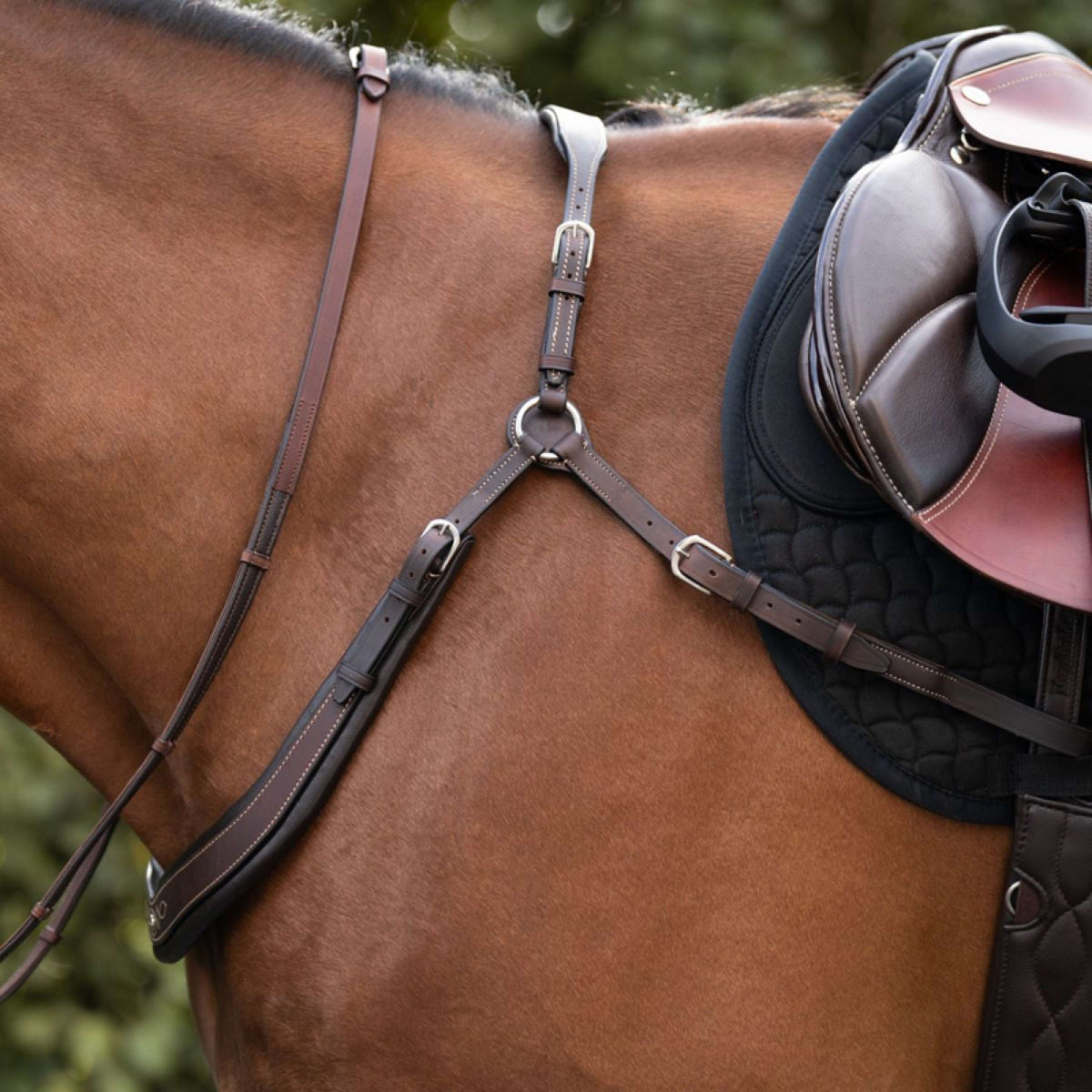 Kavalkade Collier de Chasse Jerome 2-Points Marron