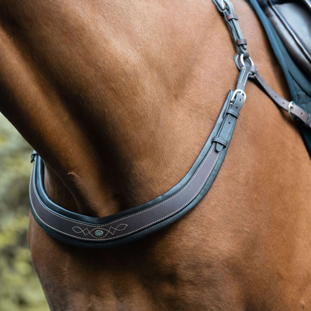 Kavalkade Collier de Chasse Jerome 2-Points Marron