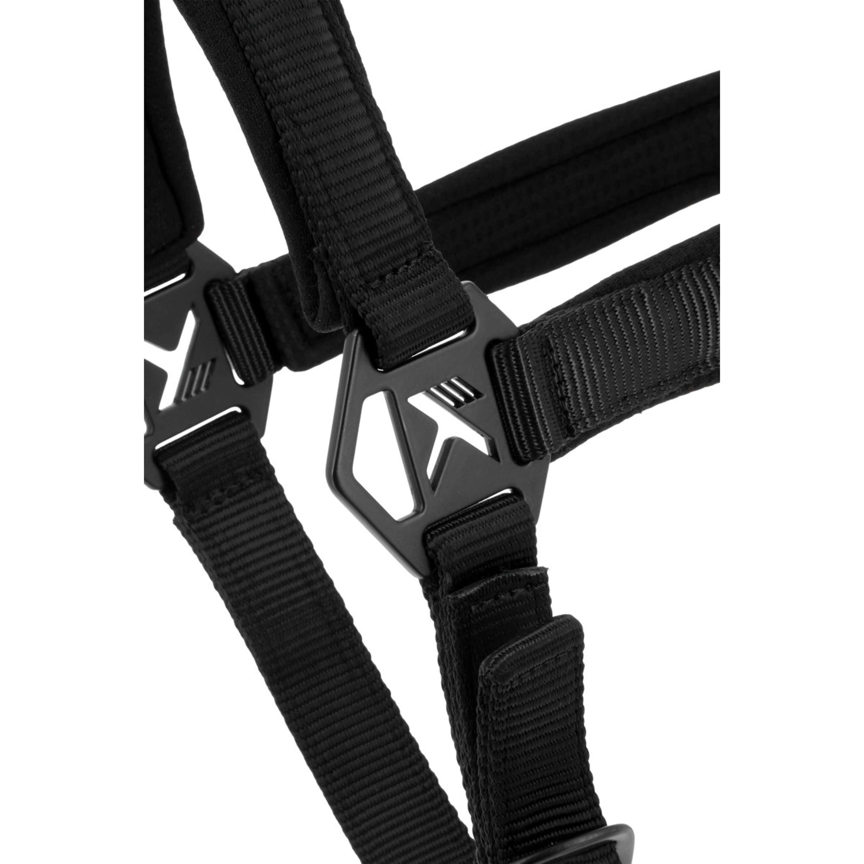 K by EQUITHÈME Licol Triton Noir
