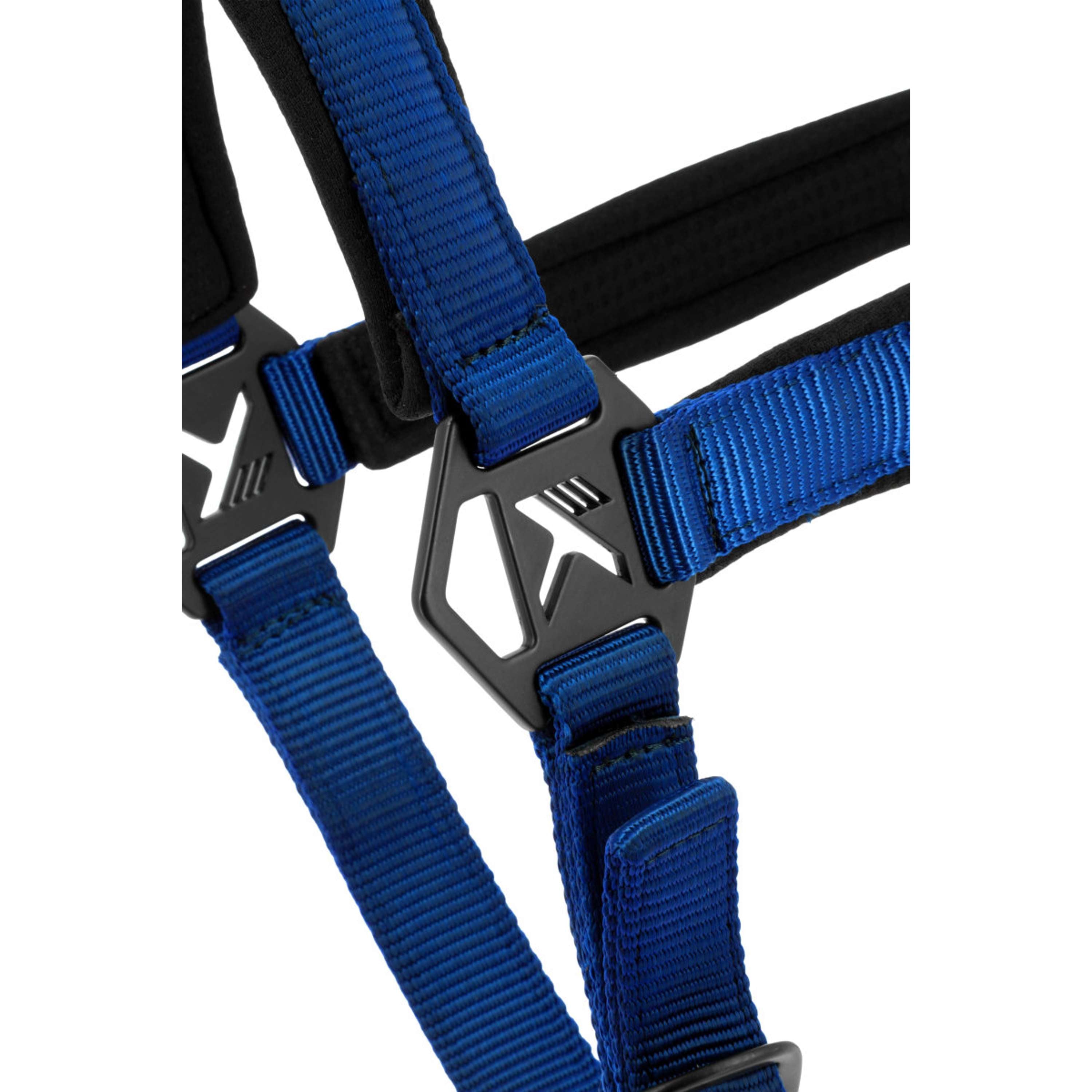 K by EQUITHÈME Licol Triton Bleu Royal