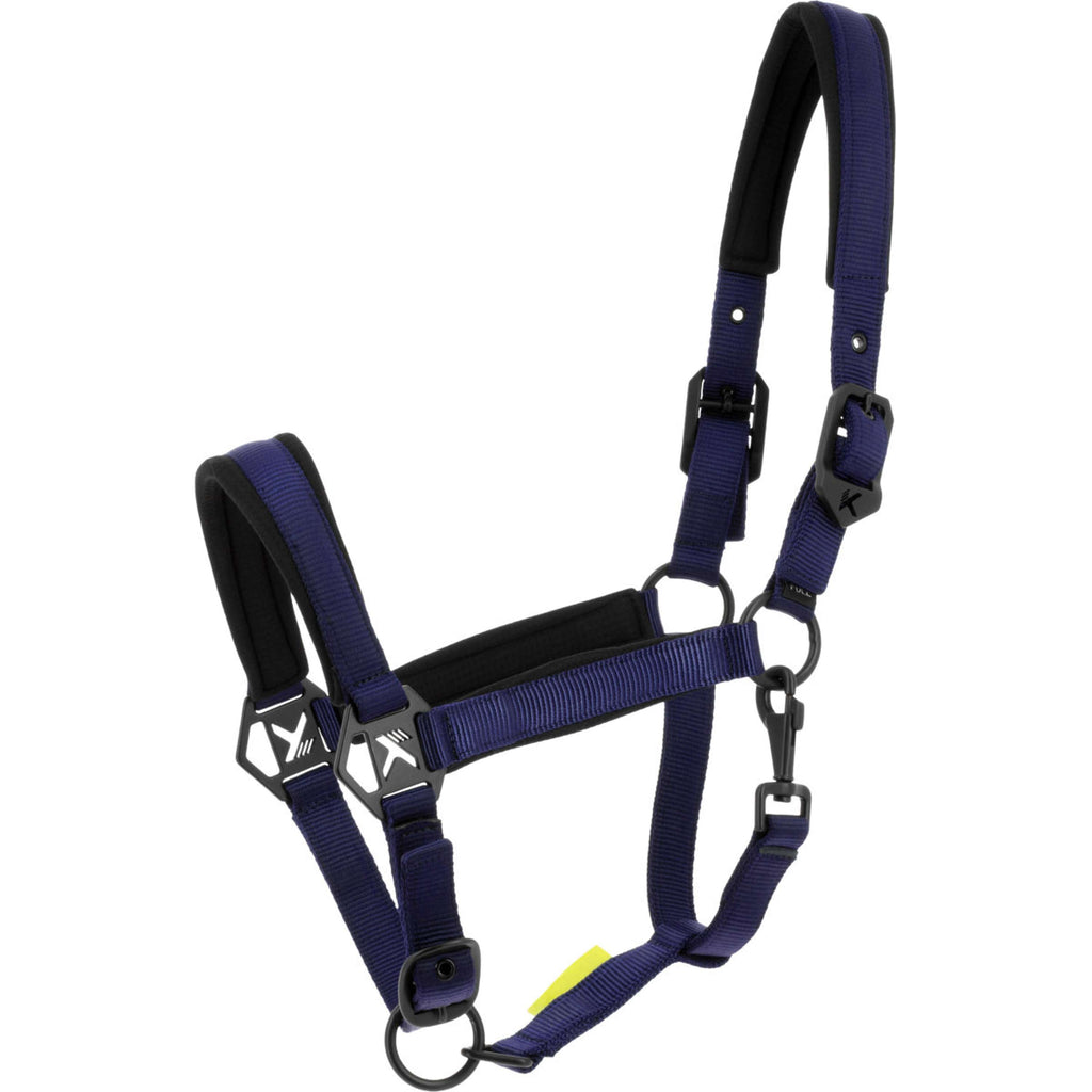 K by EQUITHÈME Licol Triton Marine