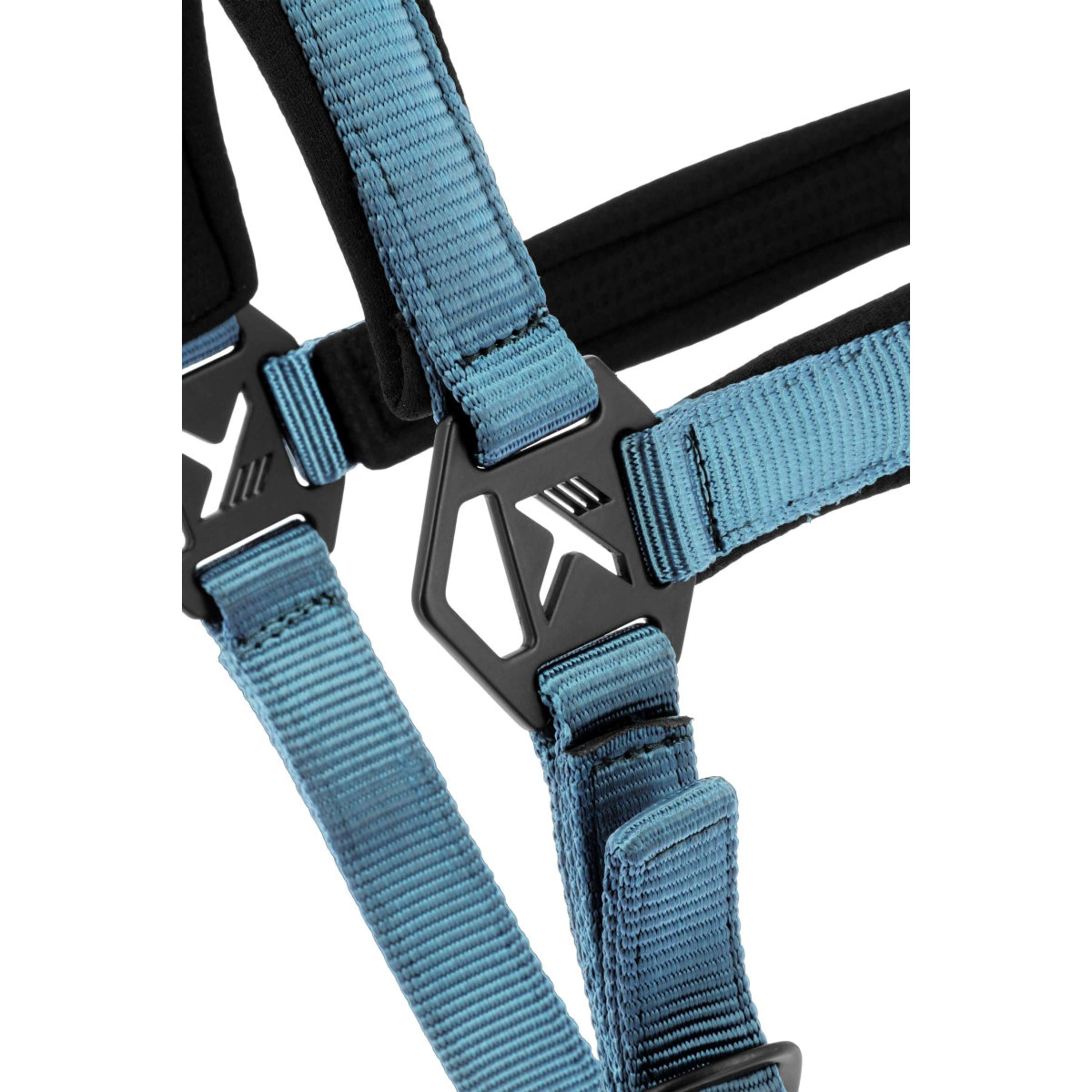K by EQUITHÈME Licol Triton Bleu ciel