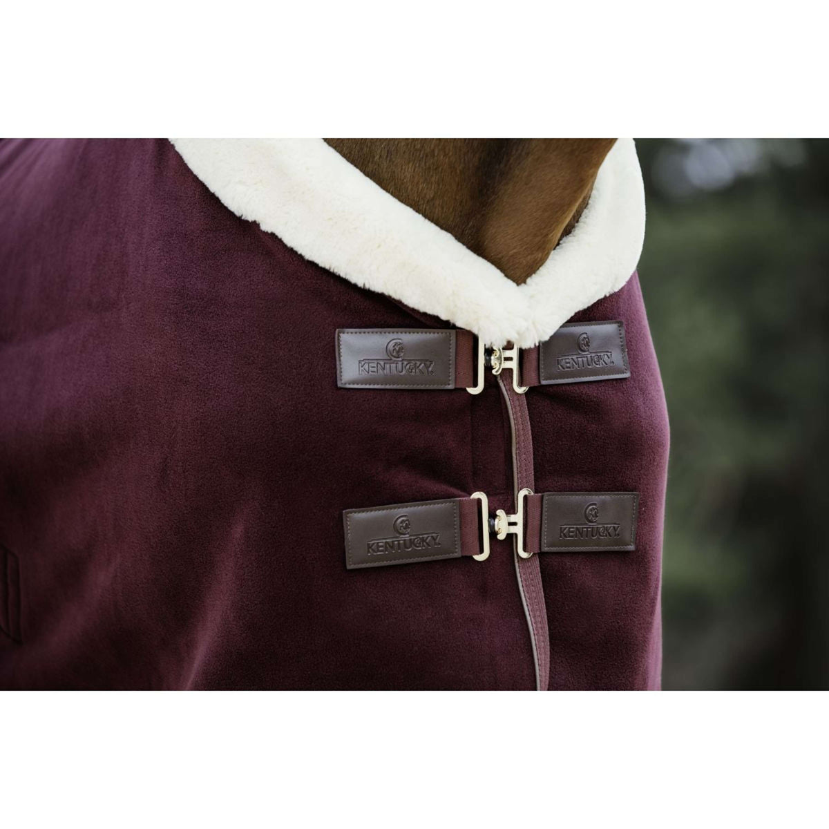 Kentucky Couvertures Anti-Transpiration Show Fleece Heavy Bordeaux