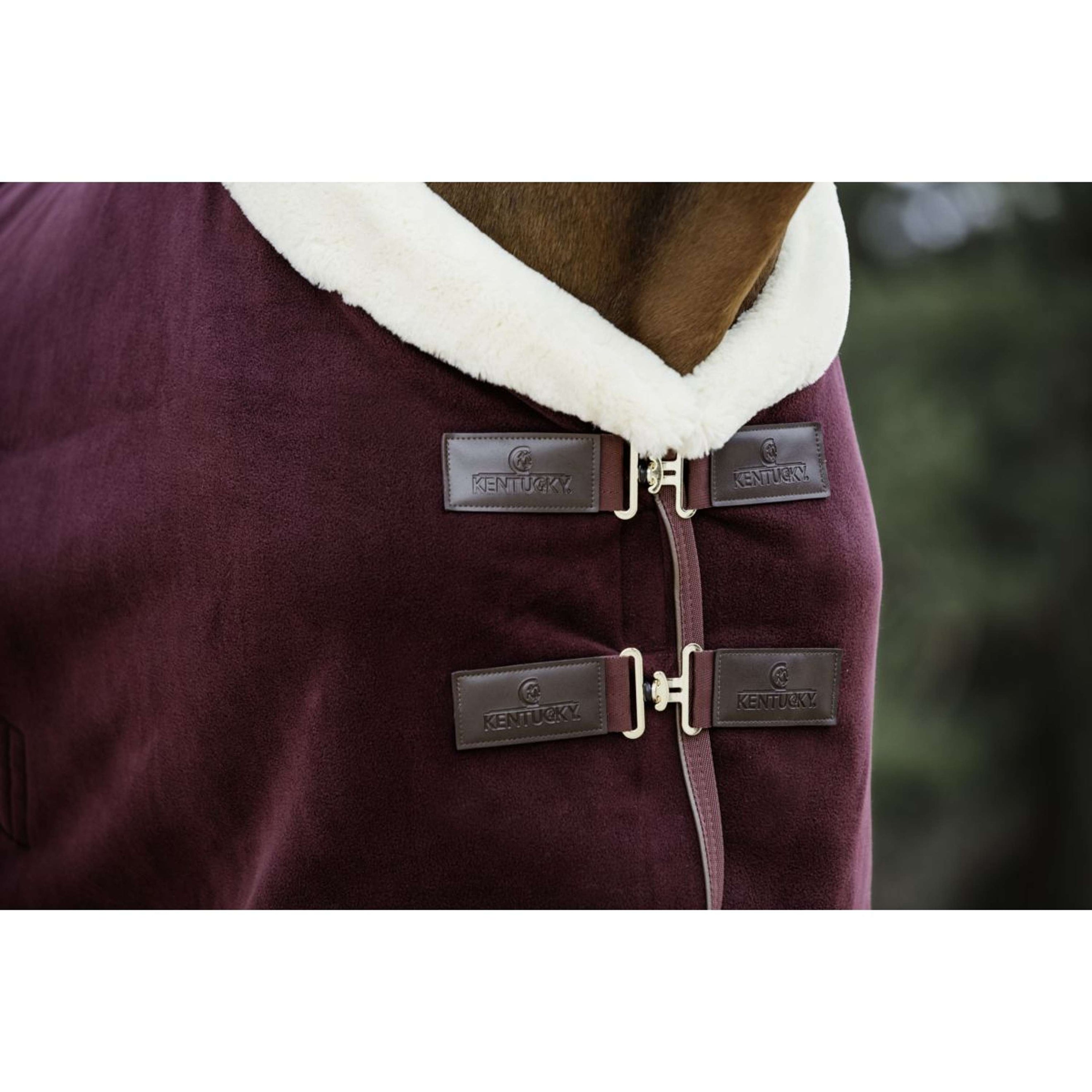 Kentucky Couvertures Anti-Transpiration Show Fleece Heavy Bordeaux Kentucky Couvertures Anti-Transpiration Show Fleece Heavy Bordeaux