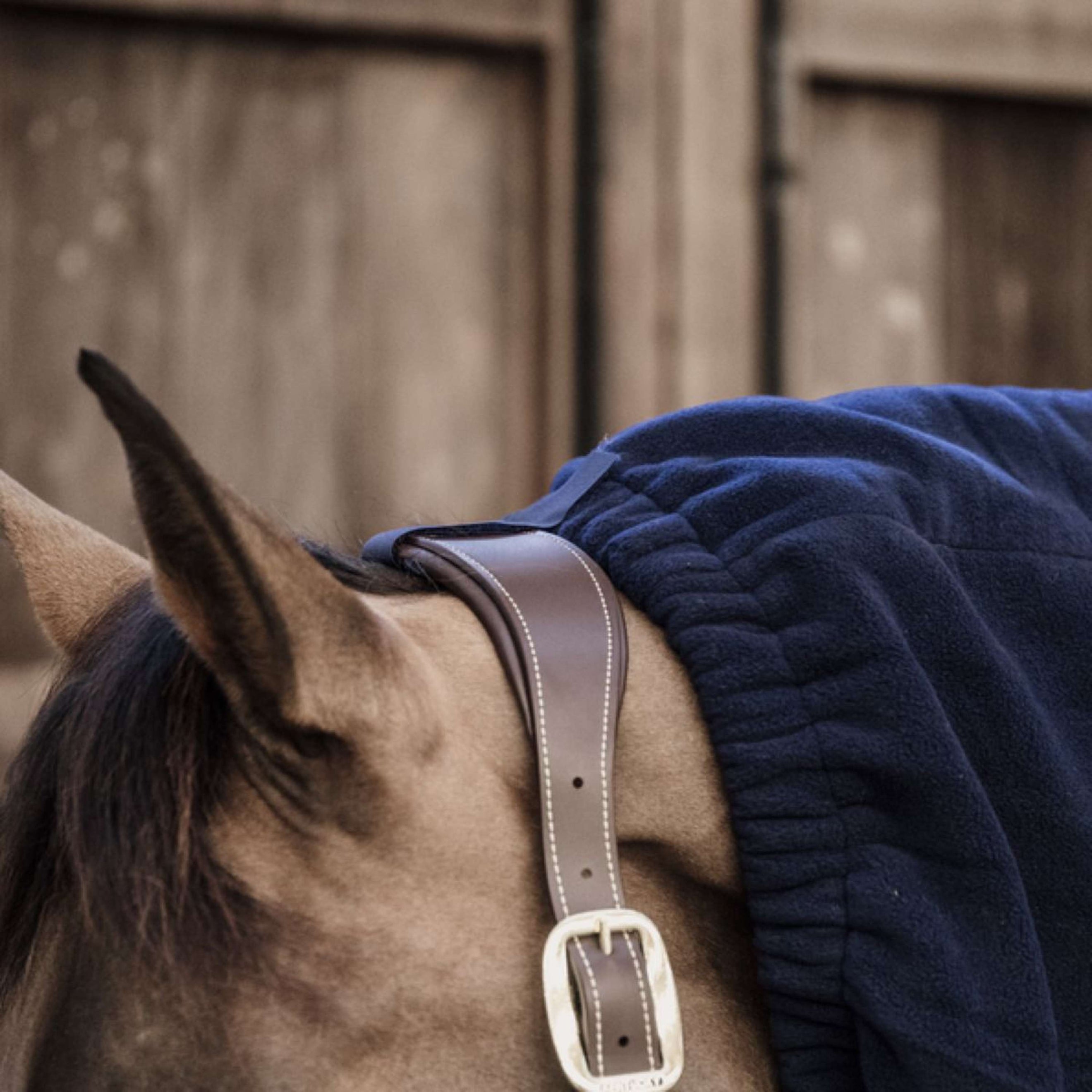 Kentucky Cou Heavy Fleece Marin Kentucky Cou Heavy Fleece Marin