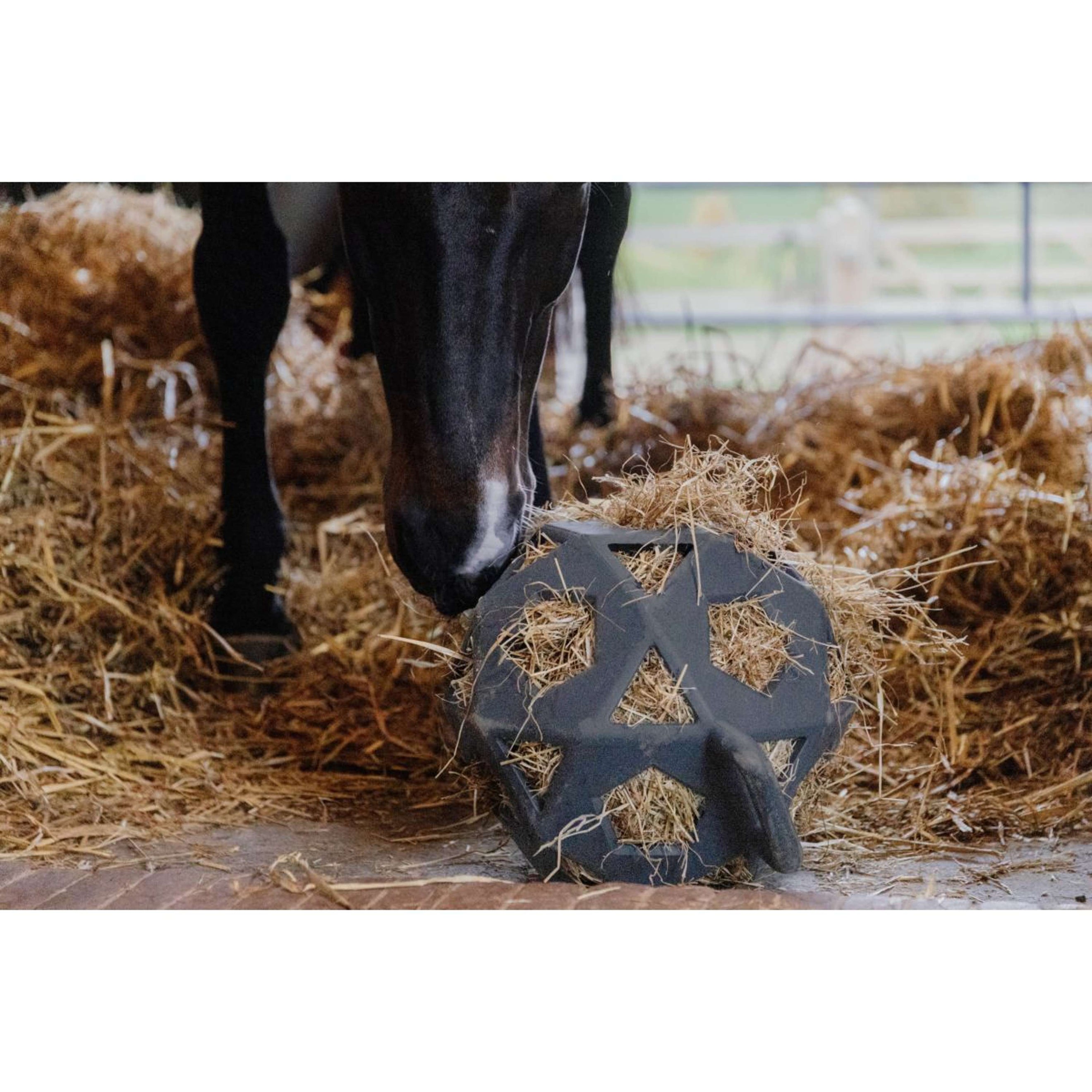 Kentucky Balle de Jeu Play & Hay Gris Kentucky Balle de Jeu Play & Hay Gris