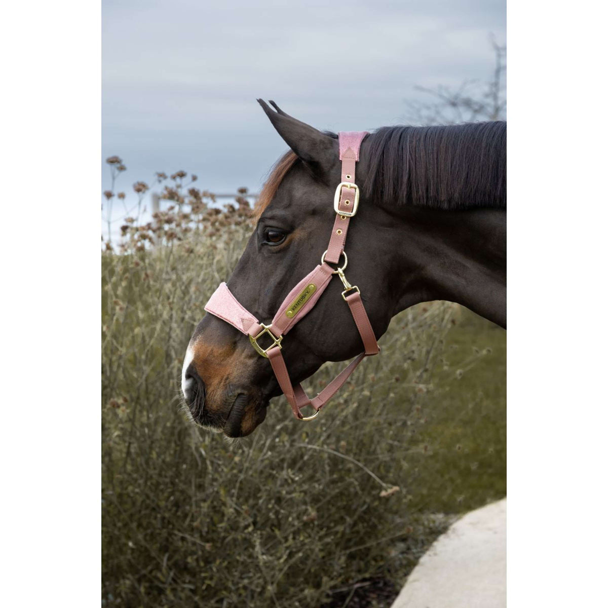 Kentucky Horsewear Licol Velvet Glitter Unicorn Rose Vieux