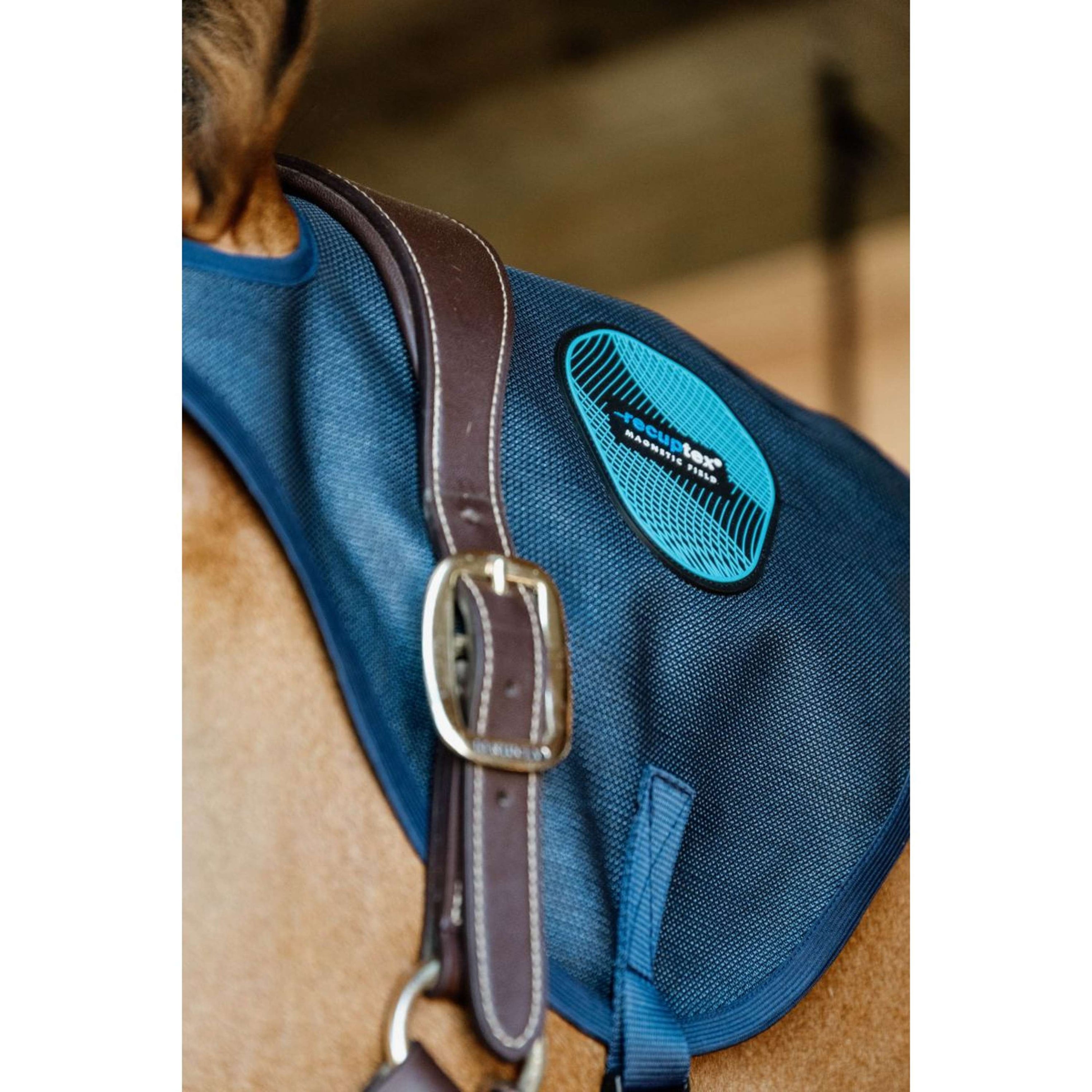 Kentucky Protège-nuque Magnétique Recuptex Bleu Kentucky Protège-nuque Magnétique Recuptex Bleu