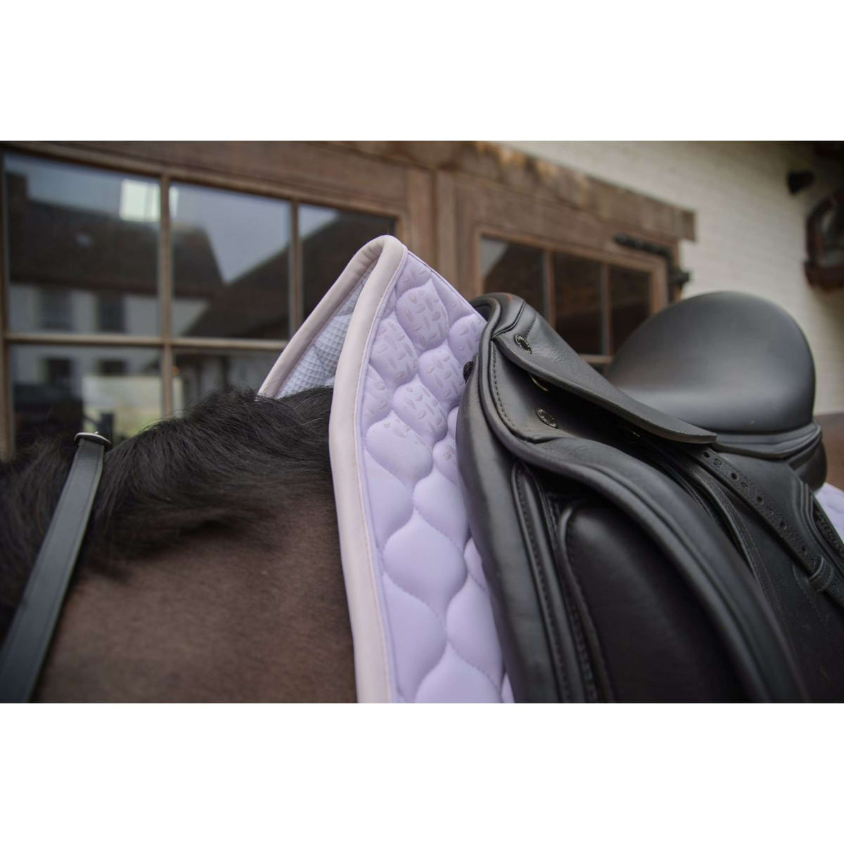 Kentucky Horsewear Tapis de Selle Softshell Onion Quilt Dressage Violet clair/Rose clair