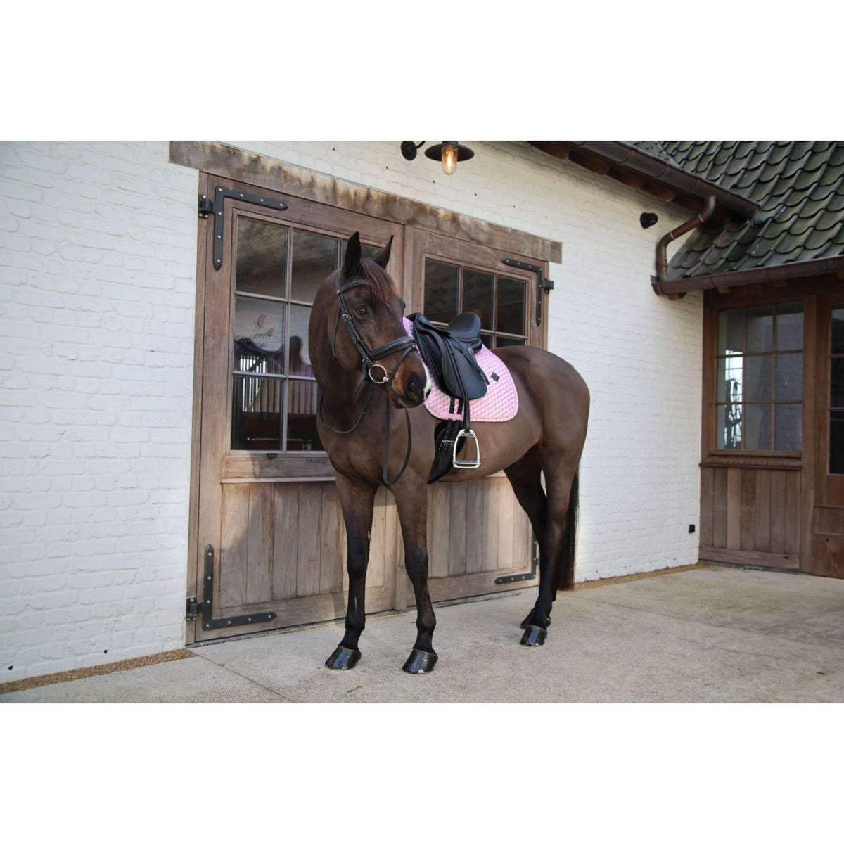 Kentucky Tapis de Selle Velvet Sammy Dressage Old Rose