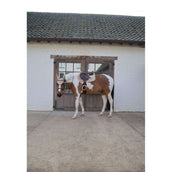 Kentucky Horsewear Tapis de Selle Softshell Onion Quilt de Saut Beige/Vieux Rose
