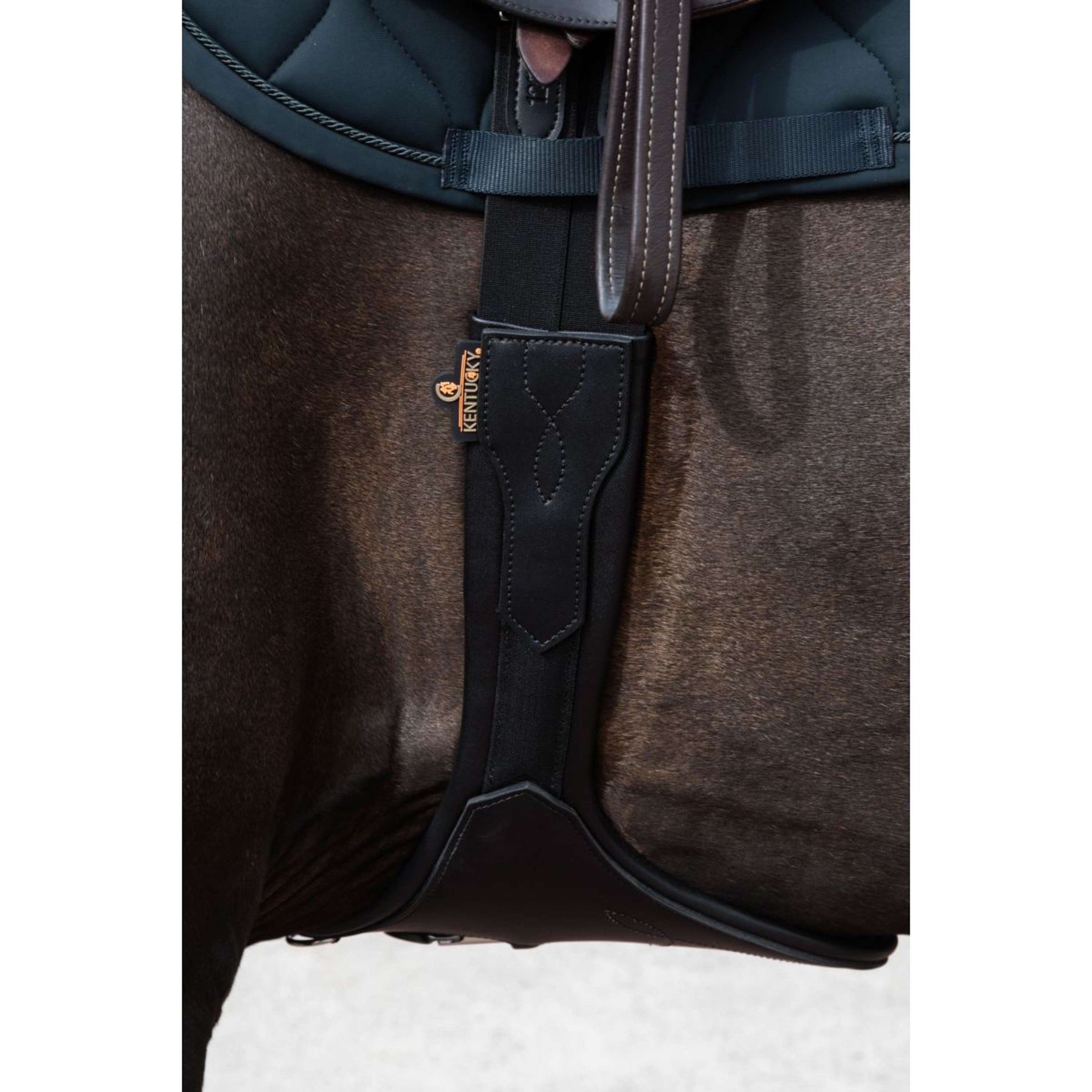Kentucky Horsewear Sangle d'Obstacle Rabat Ventral Anatomic Noir Kentucky Horsewear Sangle d'Obstacle Rabat Ventral Anatomic Noir