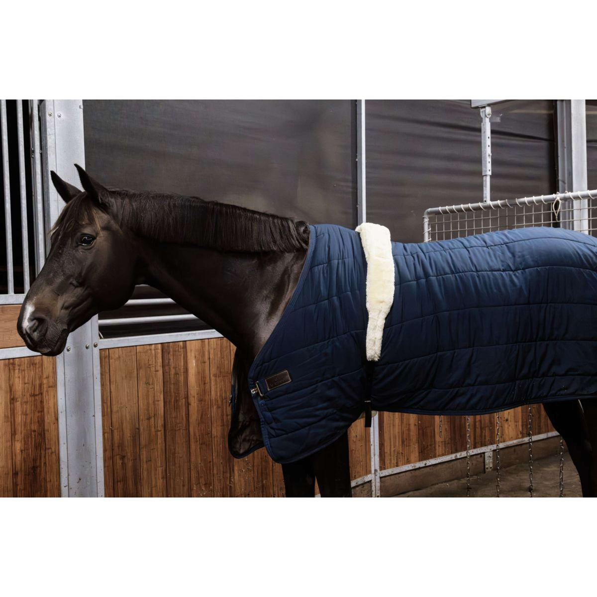 Kentucky Horsewear Surfaix de Longe Sheepskin Noir
