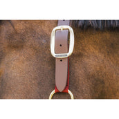 Kentucky Licol Nylon Breakaway Bordeaux