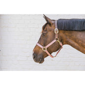Kentucky Licol Nylon Breakaway Rose Vieux