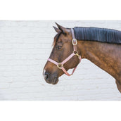 Kentucky Licol Nylon Breakaway Rose Vieux