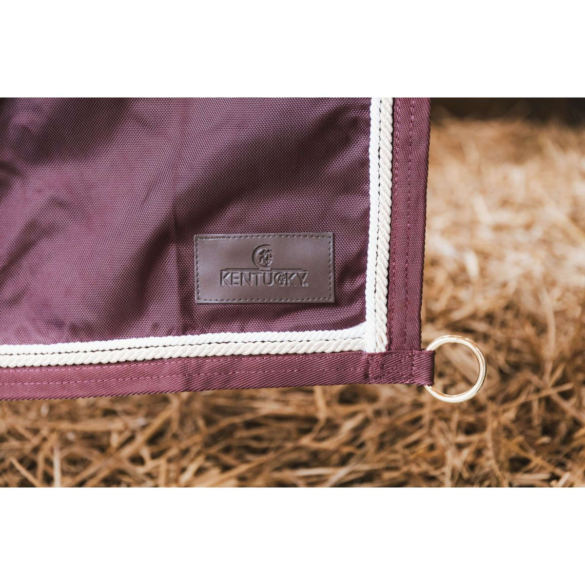Kentucky Tenture de Box Classic Bordeaux