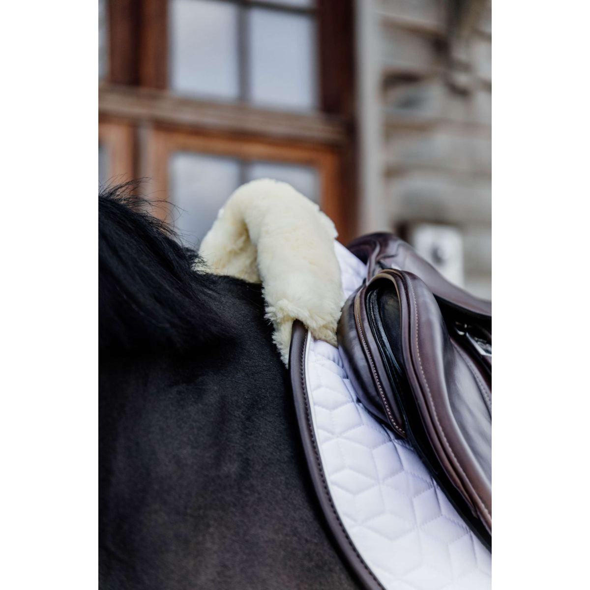Kentucky Tapis de Selle Skin Friendly de Saut Blanc