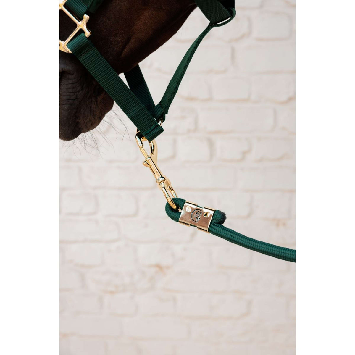Kentucky Corde pour Licol Basic Pine Green