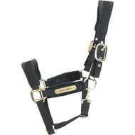 Kentucky Licol velours Noir