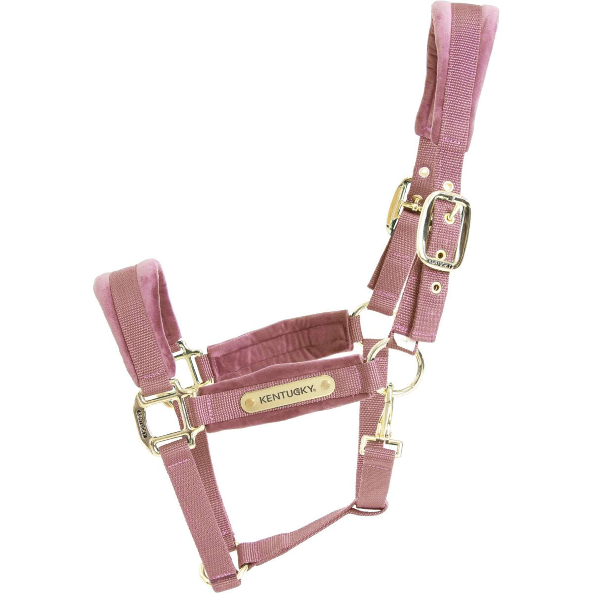 Kentucky Licol velours Rose Vieux