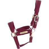 Kentucky Licol velours Bordeaux