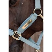 Kentucky Licol Velvet Bleu clair