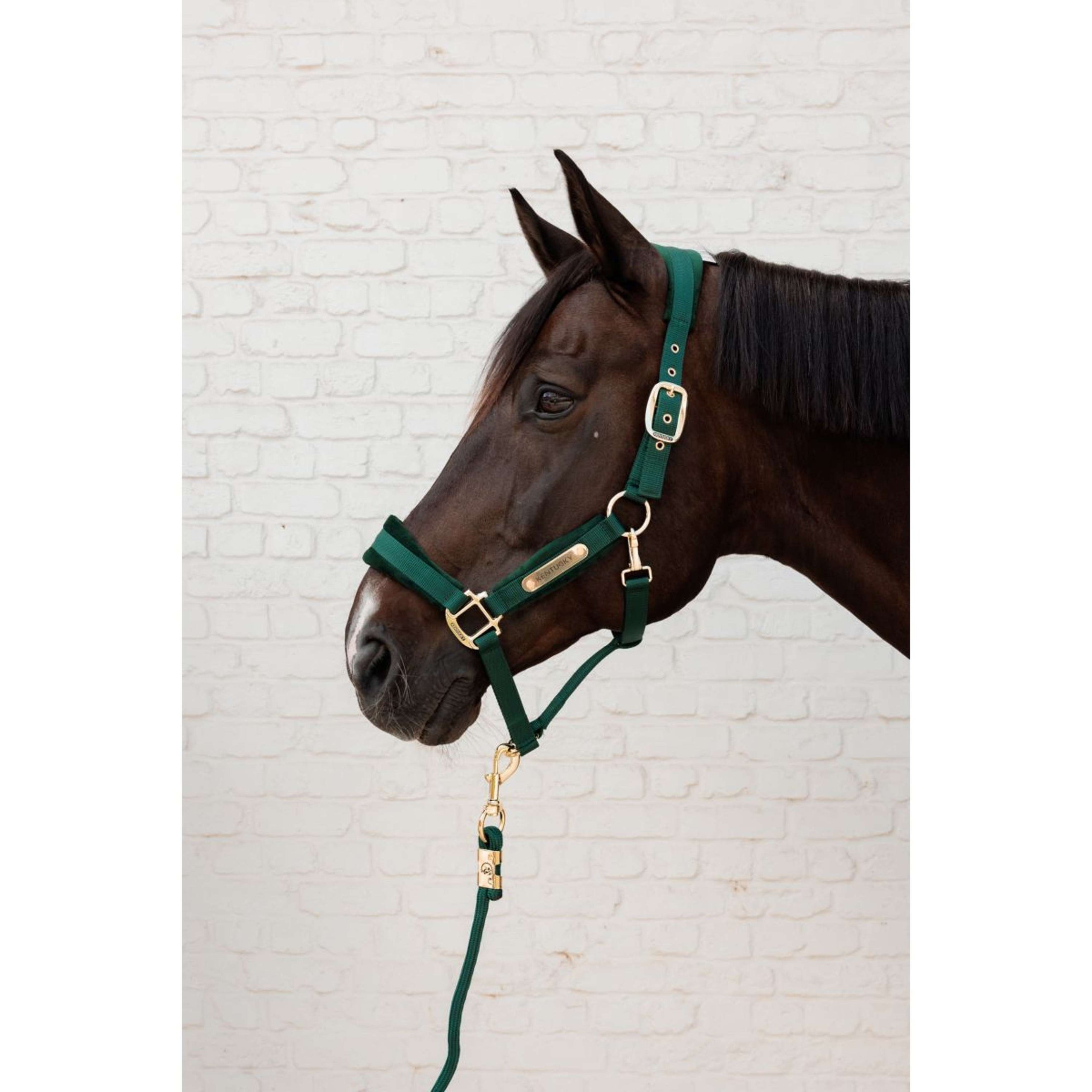 Kentucky Licol Velvet Pine Green Kentucky Licol Velvet Pine Green