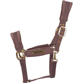 Kentucky Licol Velvet Lilas