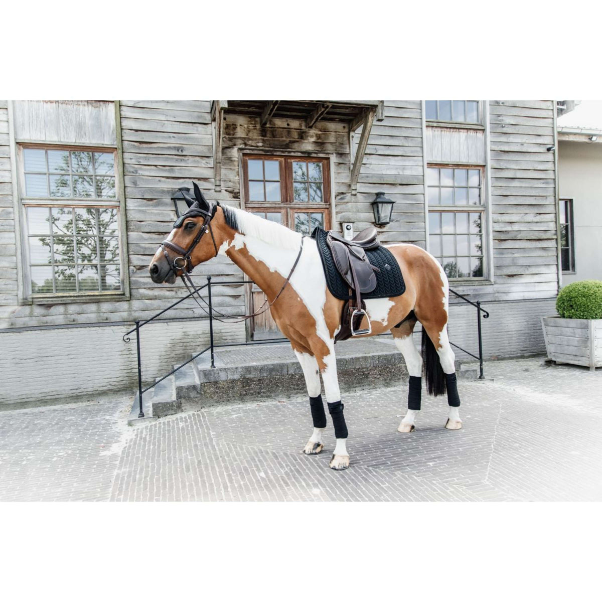 Kentucky Tapis de Selle velours Pearls Dressage Noir